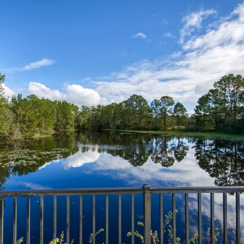Wooded lake reflected in calm water beside a viewing deck at Watersong Resort