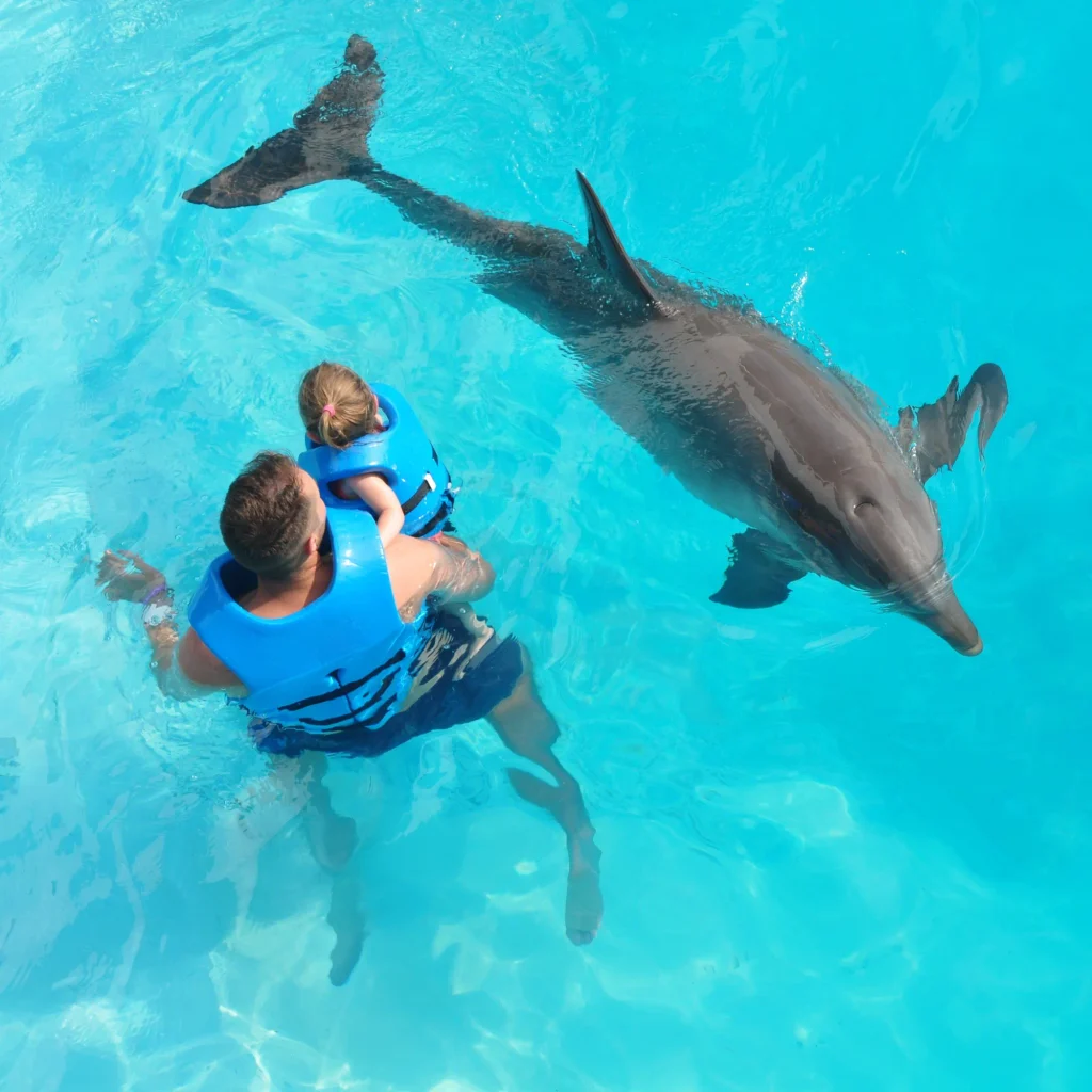 Family swimming with dolphins in orlando florida